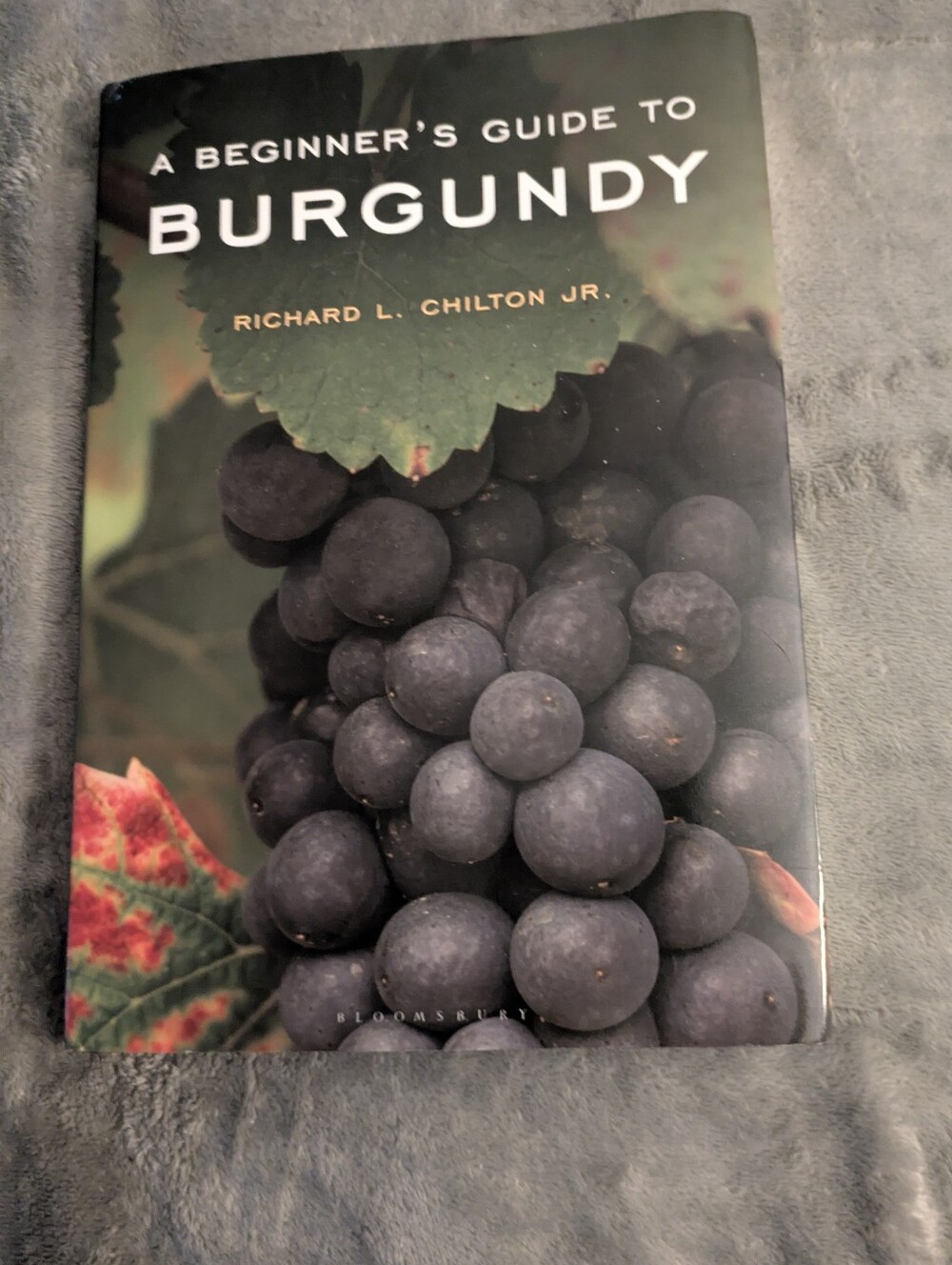 A Beginner's Guide to Burgundy - Hardcover Book (Black/Burgundy)